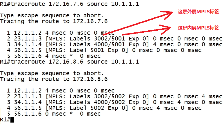 MPLS L3VPN为什么要使用两层MPLS标签？ping包测试
