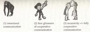 ( 1 ) intentional communication ( 2 ) first glimmers of cooperative communication ( 3 ) recursivity → fully cooperative communication