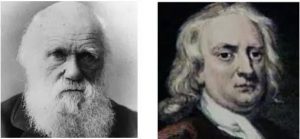 达尔文与牛顿