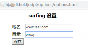 域名填写为 “ www.test.com ” ，目录填写为 “ proxy ” 即可