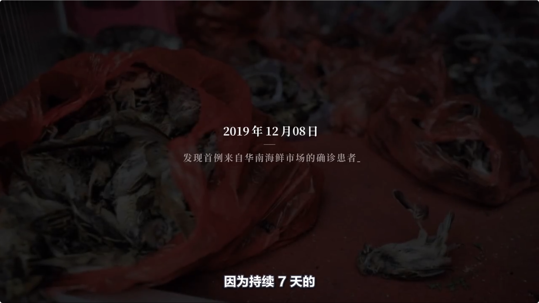 2019 年 12 月 8 日，发现首例来自华南海鲜市场的确诊患者